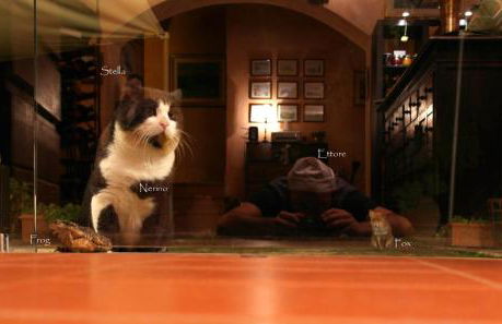 Villa Di Capovento - Photo 102