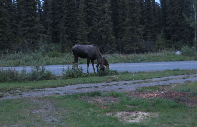 Denali Tri-Valley Cabins - Foto 79