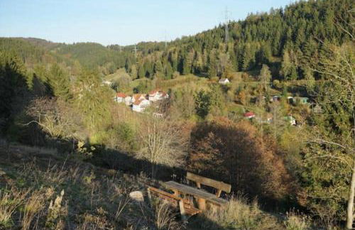 Ruhiges Ferienhaus am Waldrand mit Sauna und Kamin - Hellaberg II - Foto 32