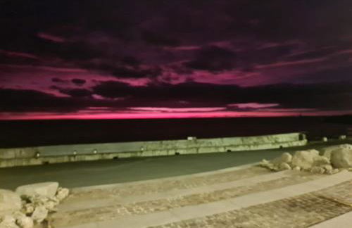 Sooty Beach - Photo 15