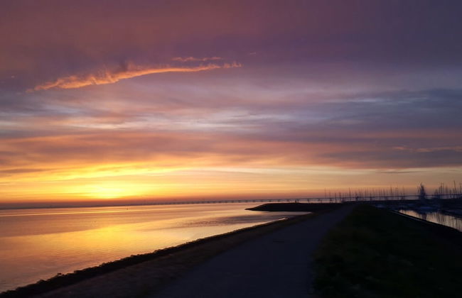 Holiday Home in Zeeland With Sauna - Photo 32