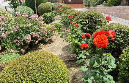 Madrid House Boutique , Aeropuerto , Ifema - Photo 16