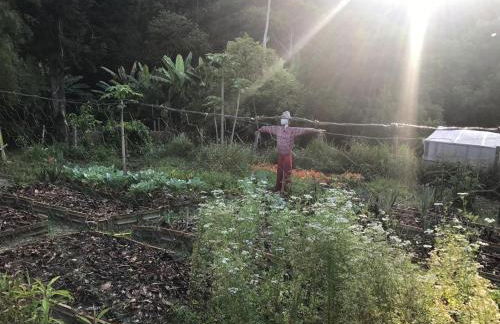 Casa Crudo, PRIVACIDADE NA MATA ATLÂNTICA, piscina, trilhas e descanso - Foto 27