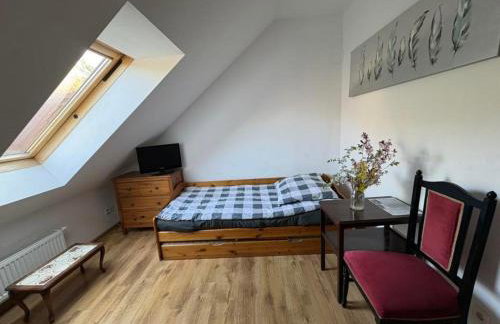 Agroturystyka Traperska Osada - Foto 22