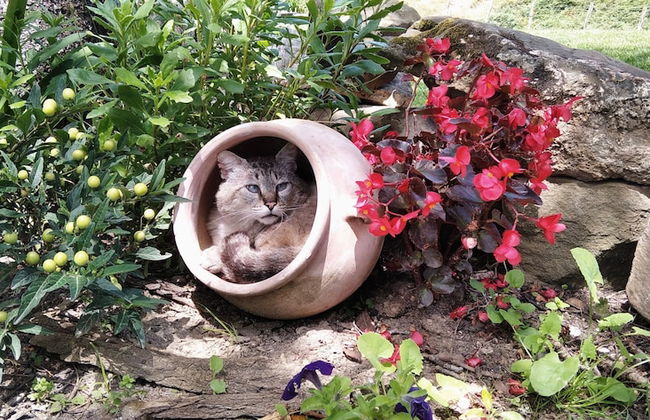 Casa Rural Abatetxe - Foto 25