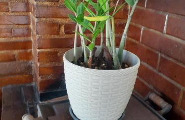 Itaúna saquarema beach house - Foto 33