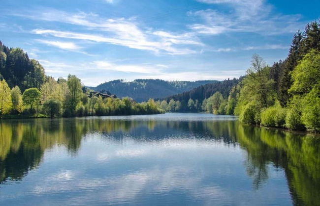 Ferienhaus in Brigach - Foto 27