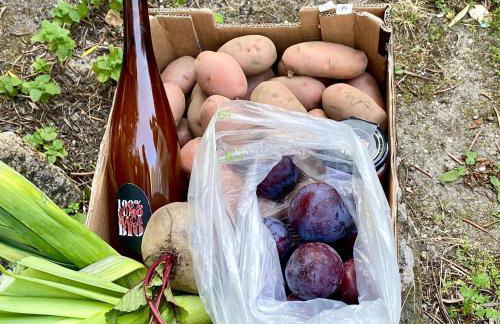 Casa Fermil do Lago - Foto 75