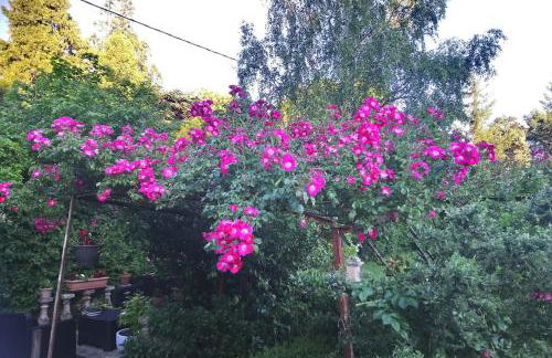 Le Pavillon Tilia - Foto 29