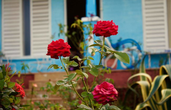 Villa in Viñales with garden and terrace - Photo 12