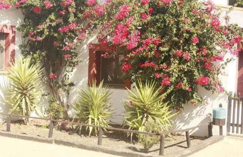 Molino El Mastral - Photo 60