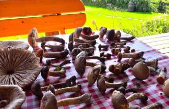 Pasterzewo 19 - Domki na Mazurach - Foto 38