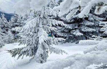 Czereśniowy Dom - Foto 36