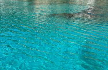 Villa Antia - Photo 67