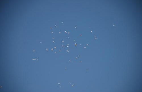 La Quadra de Quelo 1 - Foto 21