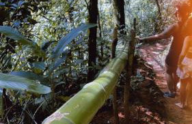 Apt Flat 210 Condomínio Pedra do Rodeadouro - Foto 20