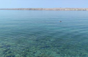 Apartman JURJEVIĆ - Photo 31