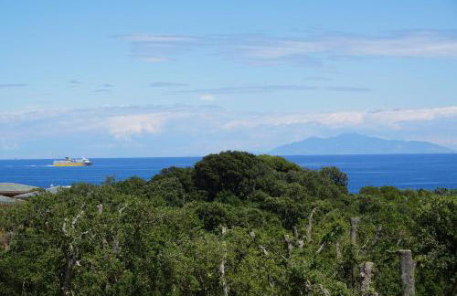 Suites in Erbalunga - Foto 23