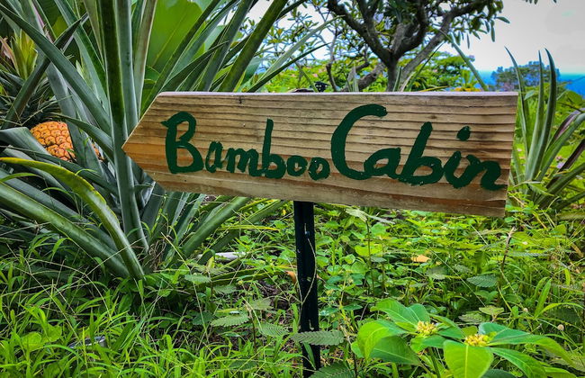 Gingerhill Farm Retreat - Foto 3