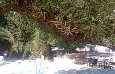 El Cañuelo - Foto 39