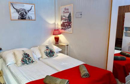 Kaszuby, agroturystyka z alpakami- pokój z łazienką - Foto 12