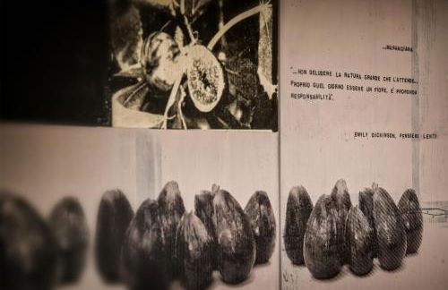 Masseria La Fica - Foto 33