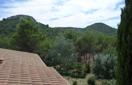 La Pinède du Barroux - Foto 16