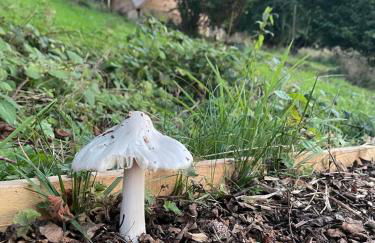 Cosy Hut Immersed in Nature with Private Hot Tub - Foto 9