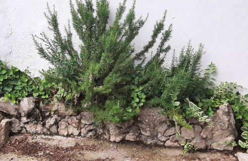 CASA RURAL "ECCEHOMO de BORJA" - Foto 33