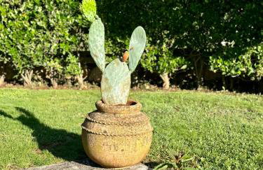 Villa Leopoldo by Istrian Country Houses - Photo 52