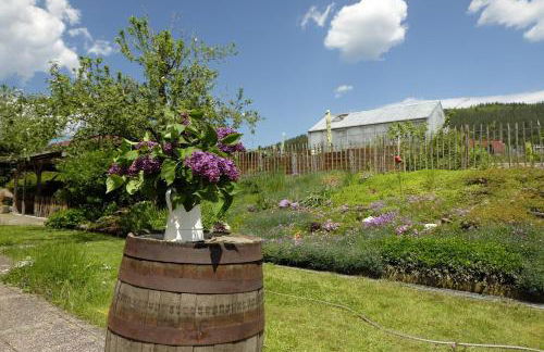 SchwarzWild - Ferienwohnung und Ferienzimmer - Foto 7