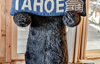 Lake Tahoe West Shore Lake Front 5 bedroom Cabin - Foto 33