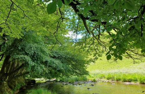 Keld Apartment Porlock - Foto 31