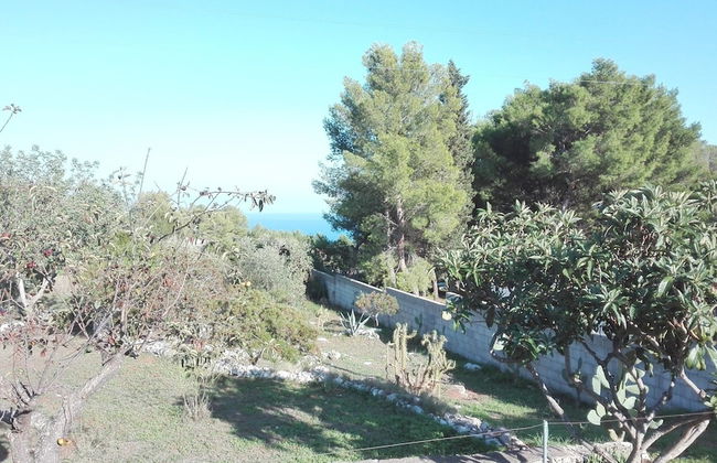 Villa Giulia - Photo 25