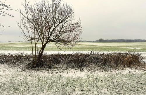 Fischerhus - Photo 74