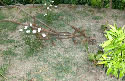 Quinta das Lindas 2 - Foto 21