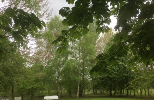 Holly's Lodge - Photo 27