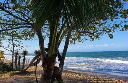 Nautilus Brisa do Oceano - Penha - SC - Foto 6