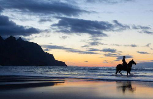 Ocean front La Maresia Holiday 2 Apartments - Foto 47