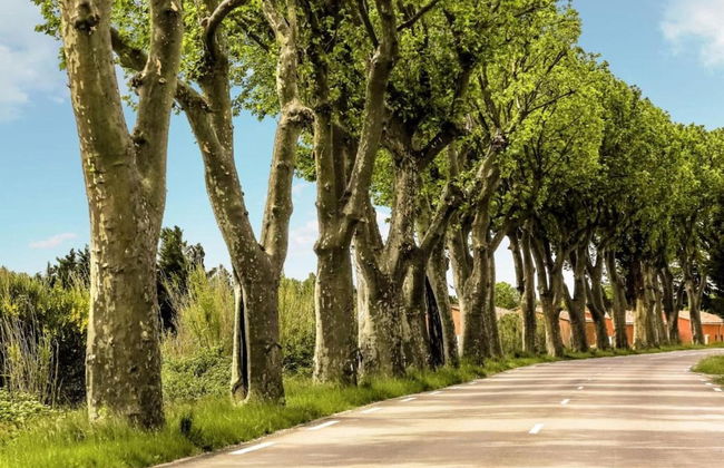 Villa in Vidauban With Pool & Vineyards Nearby - Foto 39