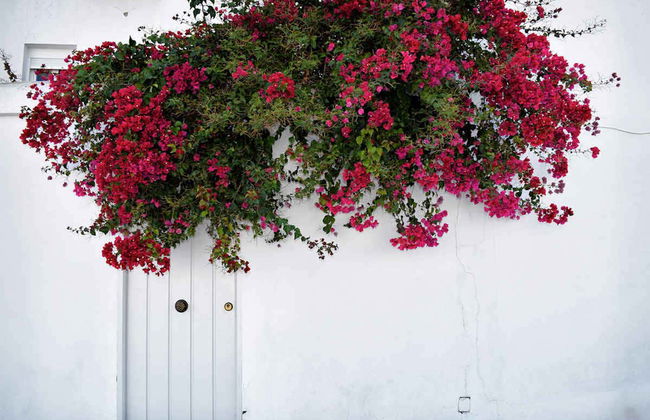 Vejer & Conil de la Frontera Day Trip - Photo 2