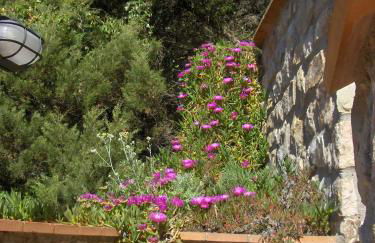 Cota Quinta - Foto 59