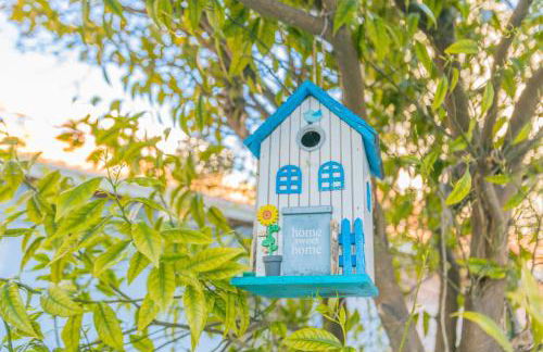 Porto Island - Foto 46