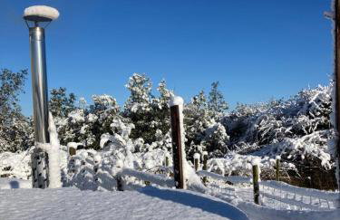 The Shepherds Hut - Foto 17