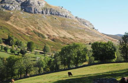 Casa Rincon Pasiego - Foto 36