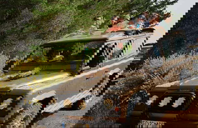 Balade en 4x4 à Santana, au pic d'Arieiro et à la pointe de San Lorenzo - Photo 1