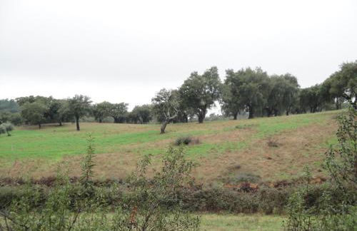 Casa Rural Sierra San Mamede - Foto 60