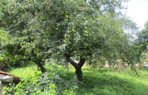 Apartment Reitz by Interhome - Foto 14