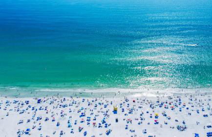 Book Me Baby! Siesta Key Villa By The Sea - Photo 45