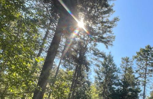 Cozy Cabin Escape - Foto 15